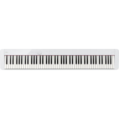 PX-S1100WE