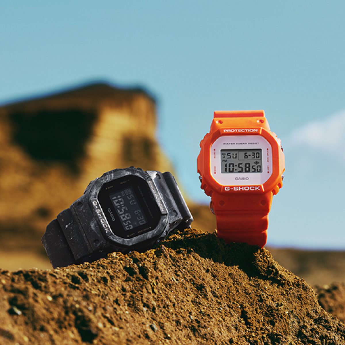 DW-5600WS-1