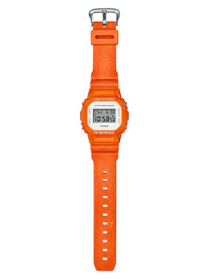 DW-5600WS-4